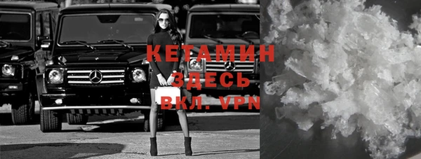 шишки Абаза