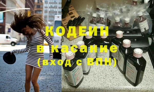 шишки Абаза