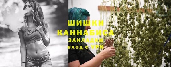 шишки Абаза