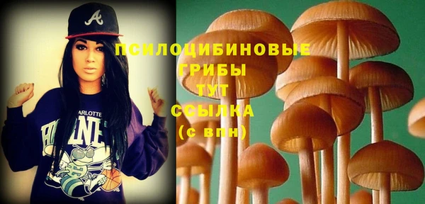 героин Алзамай
