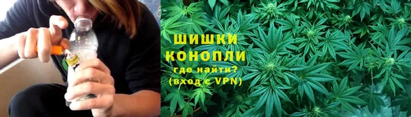 шишки Абаза