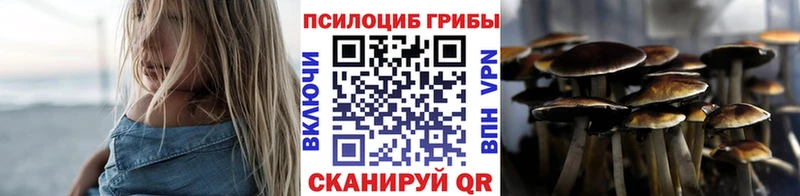 продажа наркотиков  MEGA ТОР  Галлюциногенные грибы мицелий  Салават 
